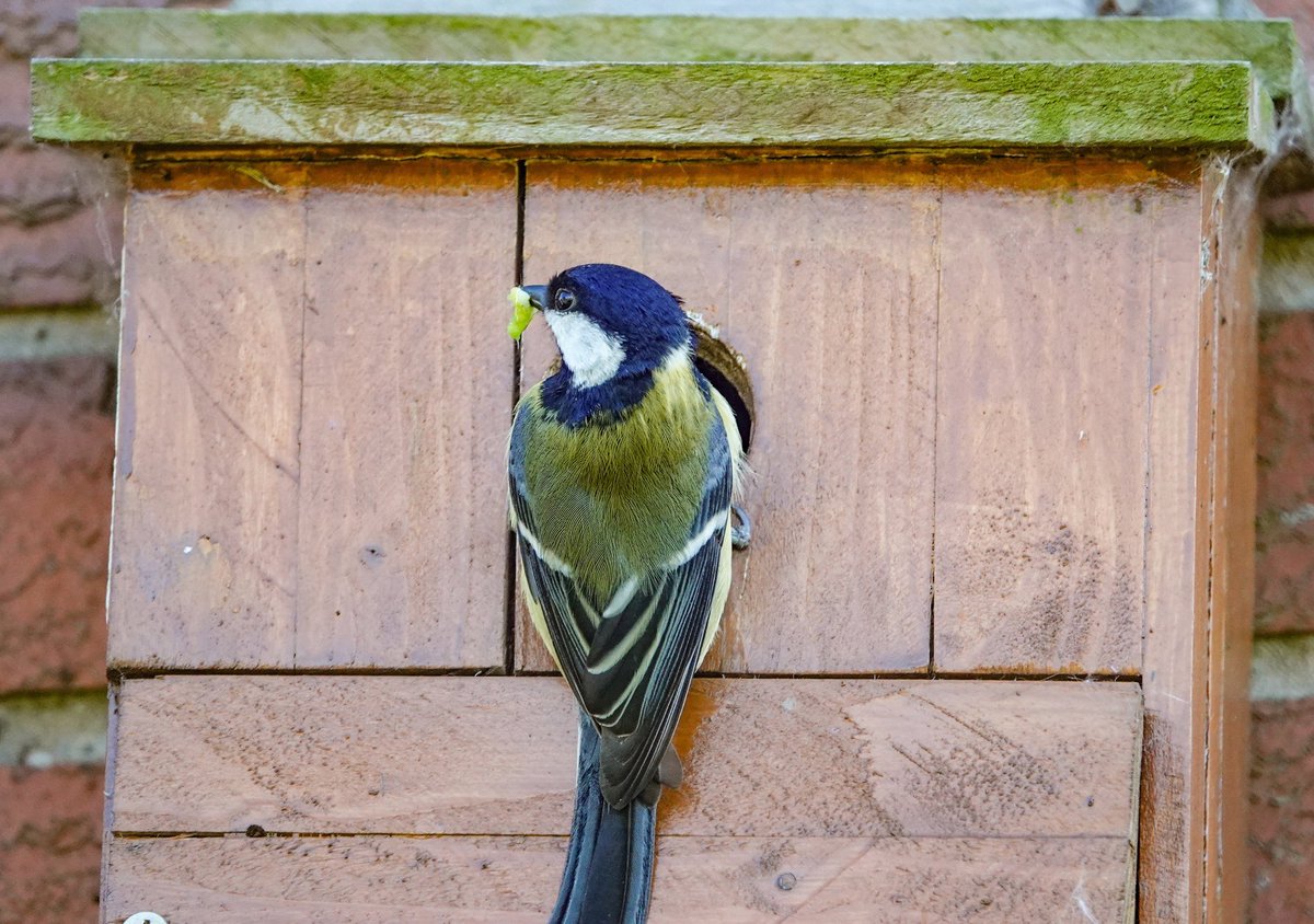 Stuart D tweet media