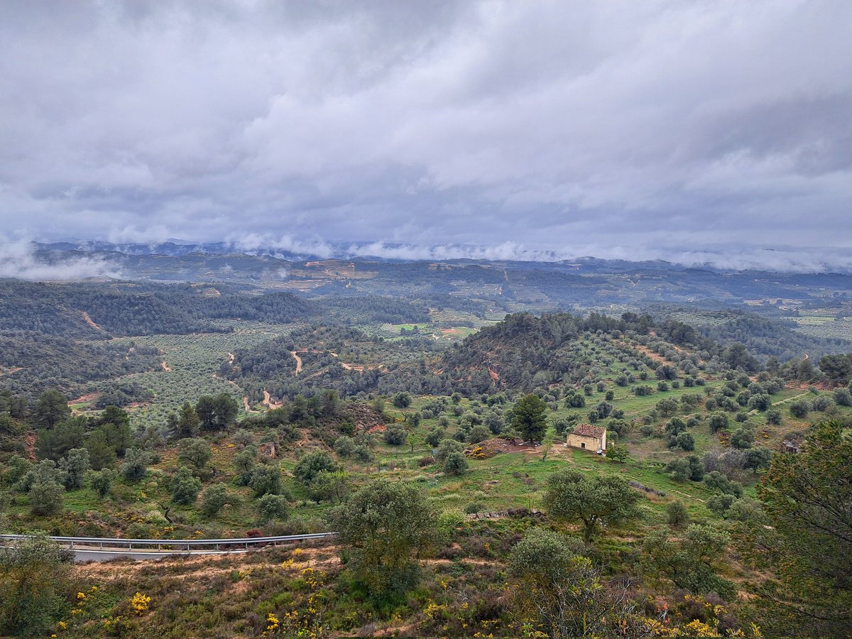 AntoniFerran's tweet image. Més polinitzadors més vida? #Prats #florits #Producció #Ecològica #biodiversitat #pedra  #seca En parlarem aquest dimecres, 14 de maig, a @ArrandeMar a les 17.00h de la ma de @MarinaPrezGot amb @JoanRamonTwitt i @AntoniFerran