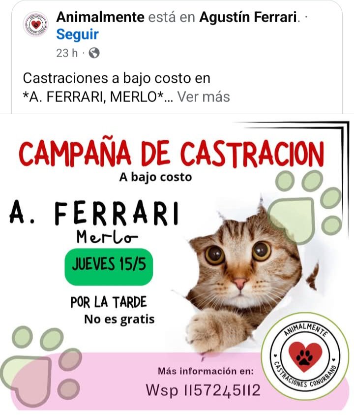 CASTRÁ y habrá: 
🔴 MENOS animales enfermos.
🔴 MENOS animales perdidos.
🔴 MENOS animales abandonados.
🔴 MENOS animales atropellados.
🔴 MENOS animales en la calle.
#CastrarEsLaÚnicaSolución
#Ley13879 #BsAs