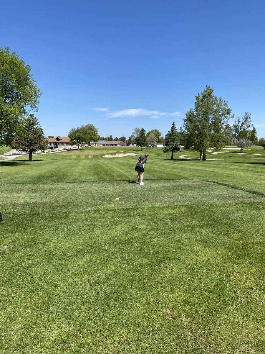 KLMoses23's tweet image. 