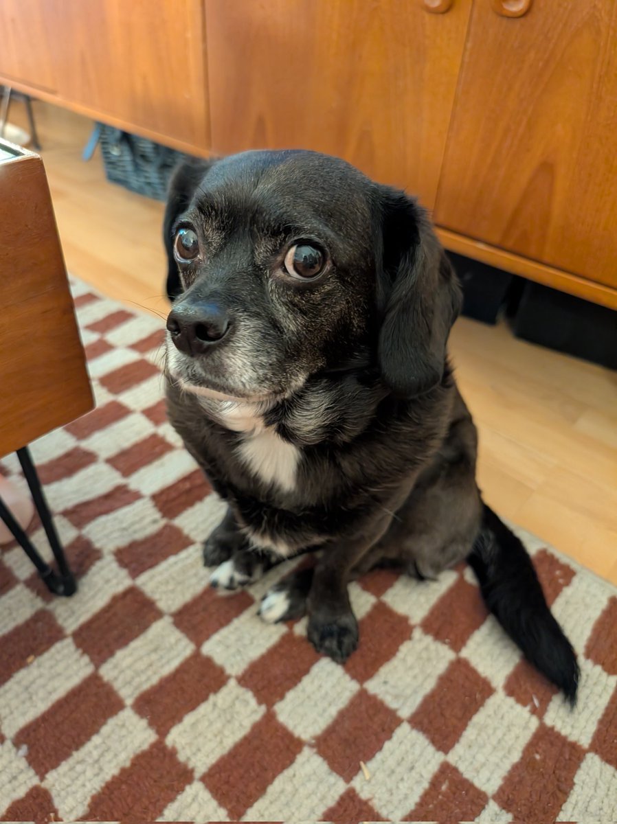 pov it's 6 minutes til dinner time