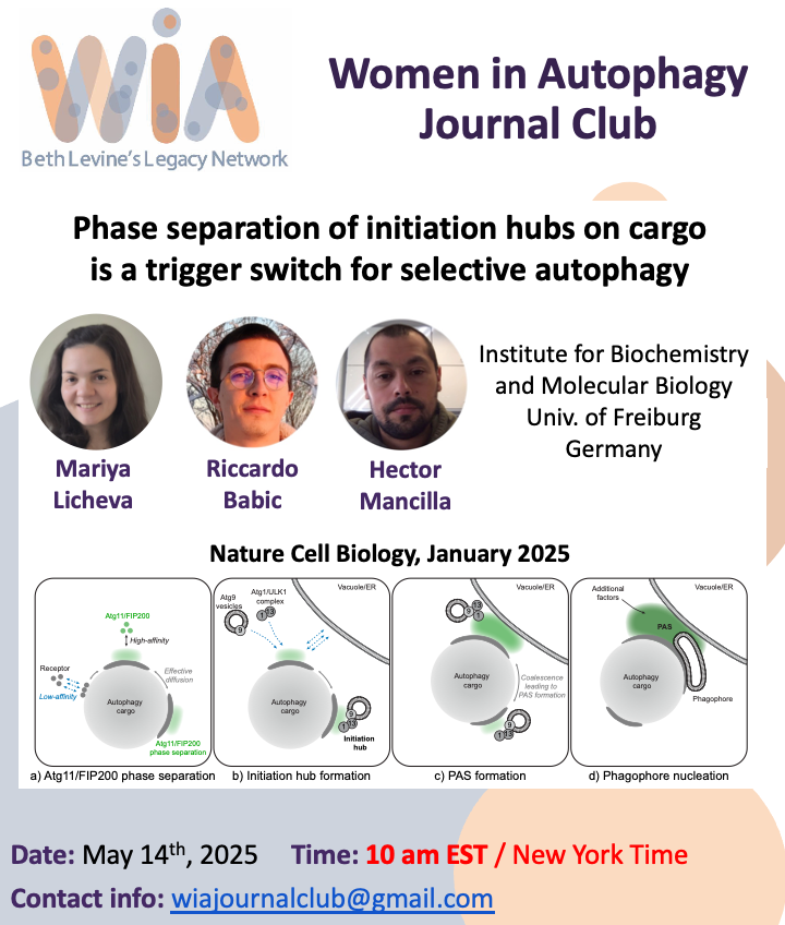 WAutophagy's tweet image. Save the date!
🗓️ May 14, 2025
⏰ 10 AM EST
Dr. Licheva, Dr. Babic & Dr. Mancilla present a Journal Club session titled: "Phase separation of initiation hubs on cargo is a trigger switch for selective autophagy".
Don't miss it!