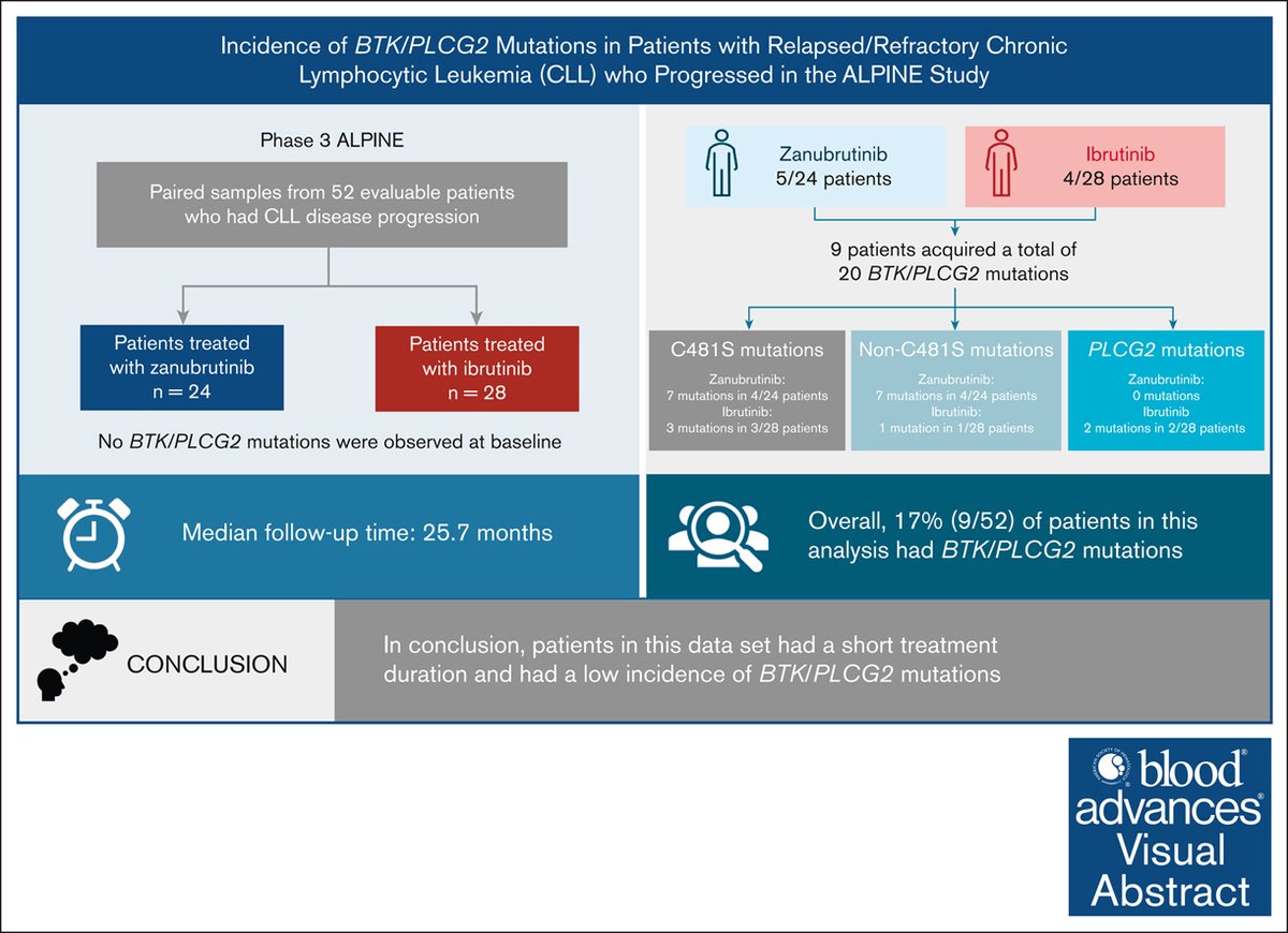The overall frequency of BTK mutations was low in zanubrutinib- and ibrutinib-treated patients experiencing early CLL progression in the ALPINE study. ow.ly/uZSp50VFKiU #clinicaltrialsandobservations #lymphoidneoplasia