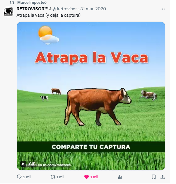 CodyripoRuth's tweet photo. Atrapada la vaca https://t.co/Yrg3stWtcJ