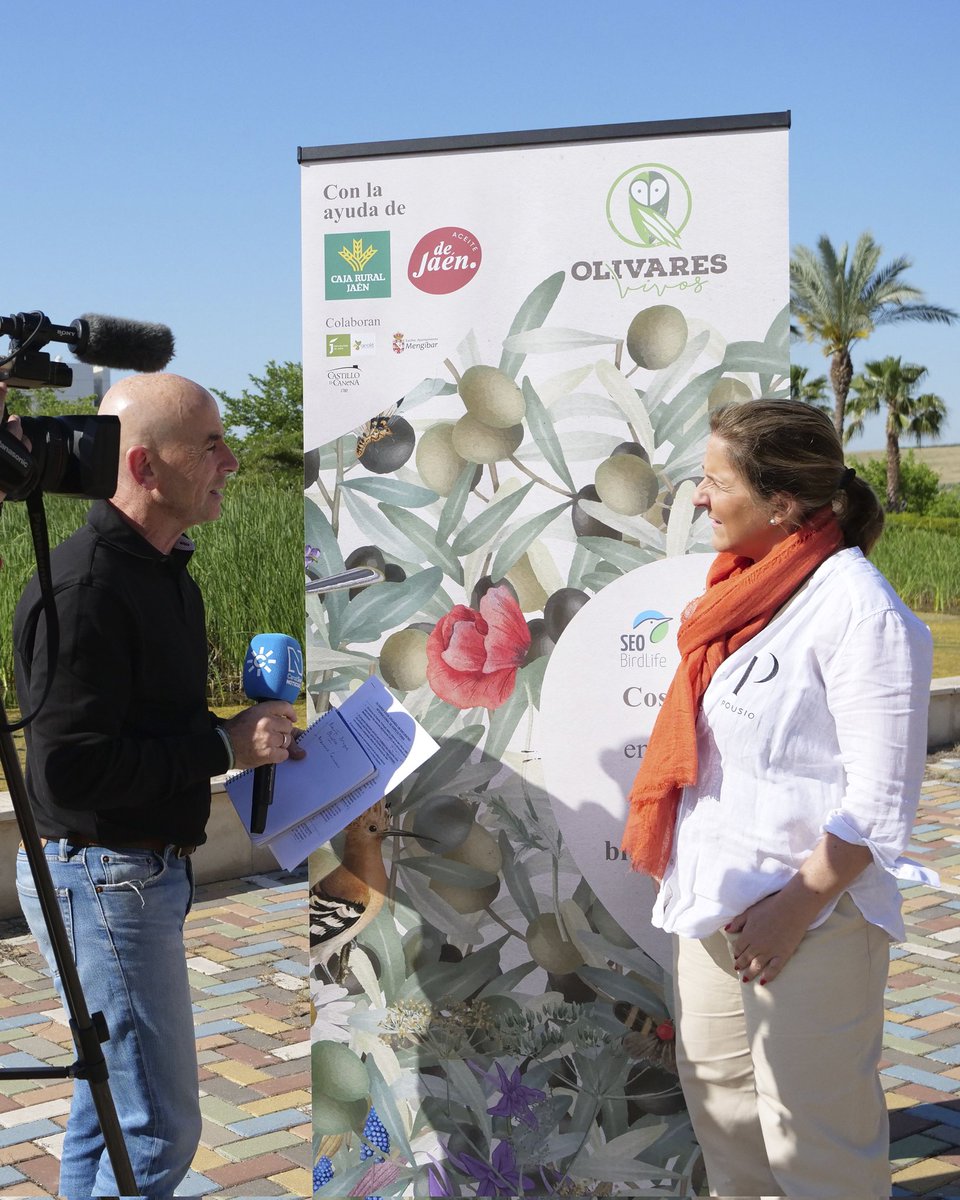 ¡Hemos comenzado fuerte! 💪🏼💪🏼

El encuentro internacional con nuestros olivareros 👨‍🌾 ha empezado, hoy, con una puesta en común entre todos ellos sobre sus fincas, las diferentes formas de gestión y sus experiencias como #agricultores de Olivares Vivos 🫒🚜