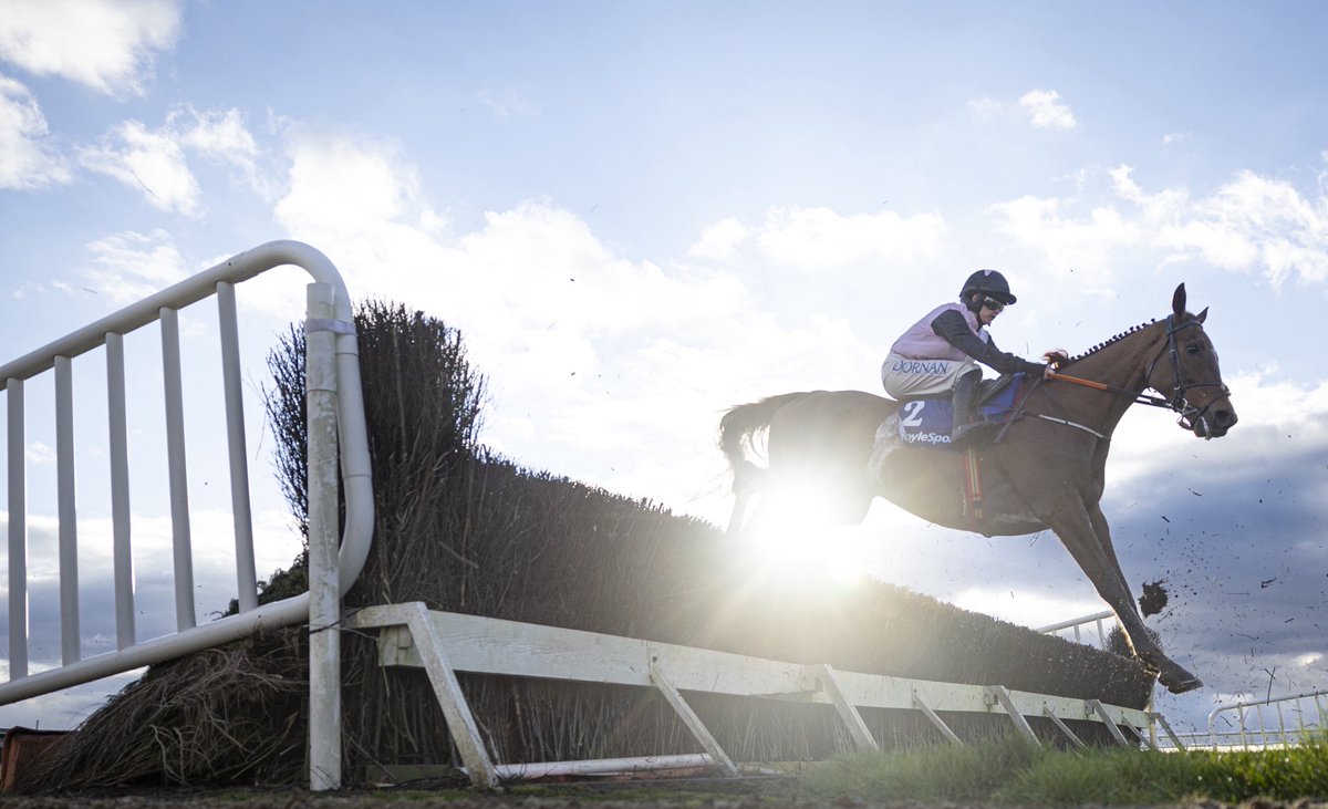 Navan Racecourse (@navanracecourse) on Twitter photo A True Trailblazer π€©
An outstanding career in the saddle - one that will undoubtedly go down in history!
Thank you, <a href="/rachaelblackmor/">Rachael Blackmore</a> for inspiring generations! πβοΈ A True Trailblazer π€©
An outstanding career in the saddle - one that will undoubtedly go down in history!
Thank you, <a href="/rachaelblackmor/">Rachael Blackmore</a> for inspiring generations! πβοΈ