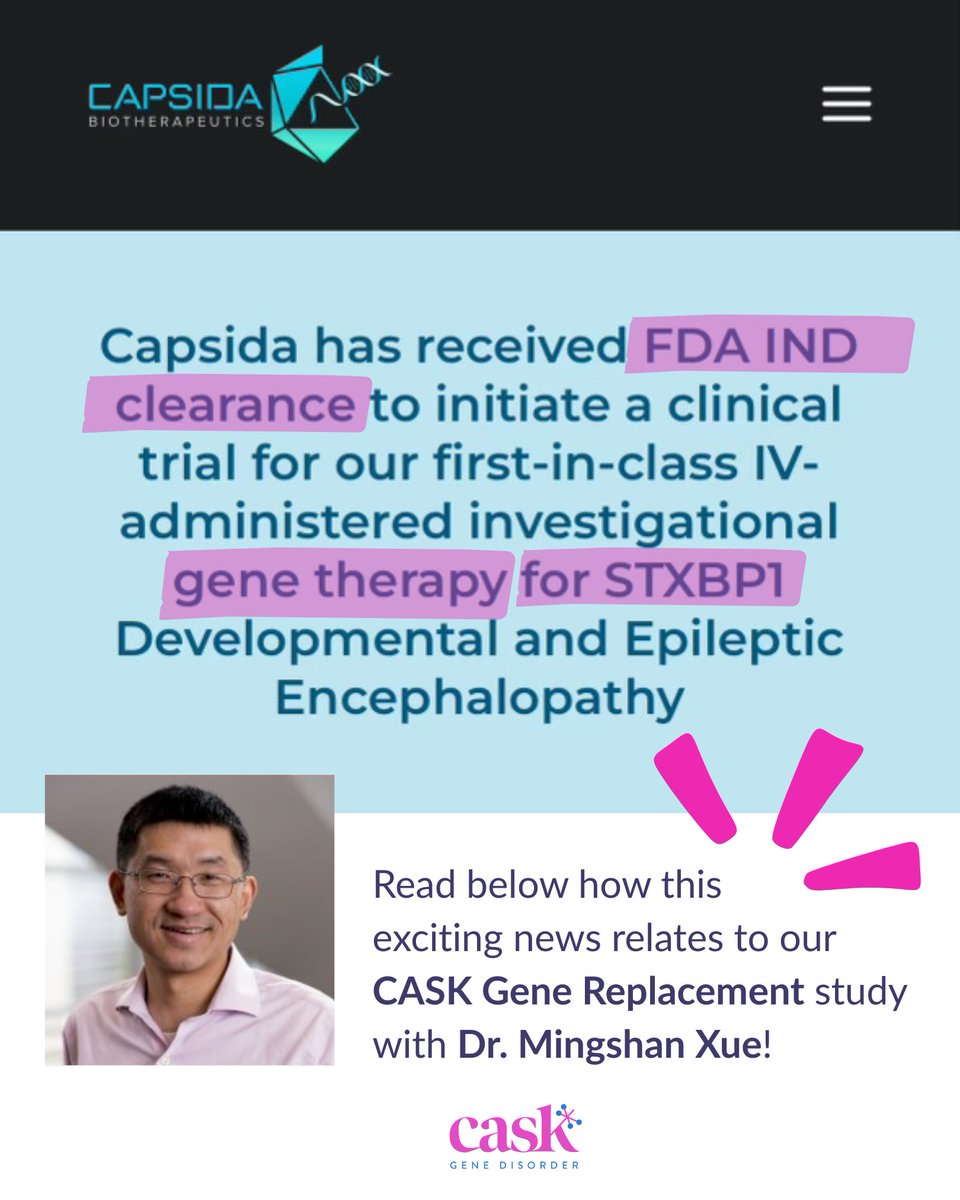 Thrilling news!! Bio tech @capsida announced the FDA IND application of CAP-002, a disease-modifying treatment for STXBP1.Dr. Xue led the research team that developed this gene replacement therapy, the same therapeutic approach he is working on for CASK.  capsida.com/pipeline/