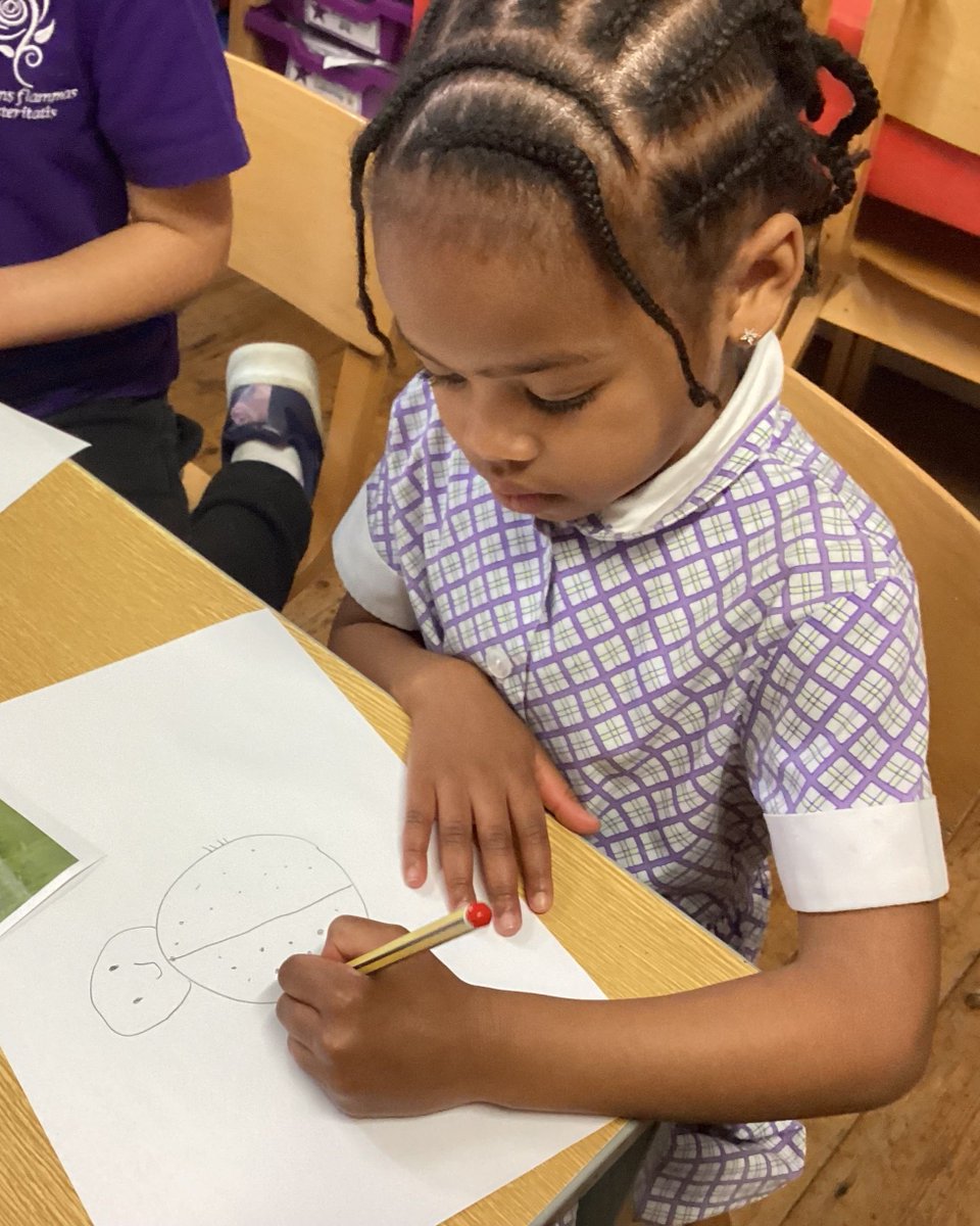 This week for our minibeast topic, Reception children thought about how to draw in a detailed way by only drawing what they could see. We looked at her drawings and learnt they were so good that scientists used them to study minibeasts further.