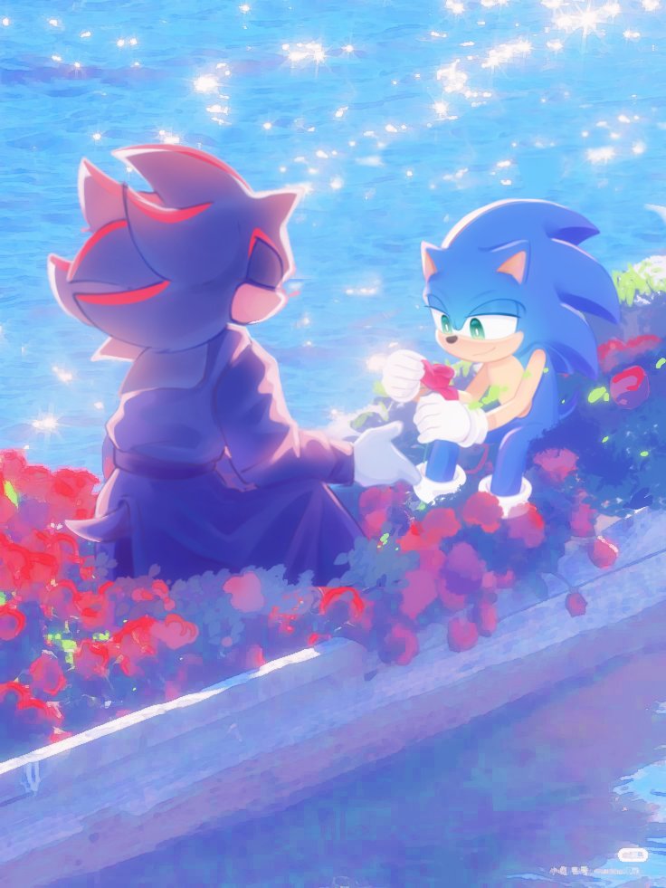 Meoweahh1's tweet image. Collab with my friend 

#Shadonic #sonadow