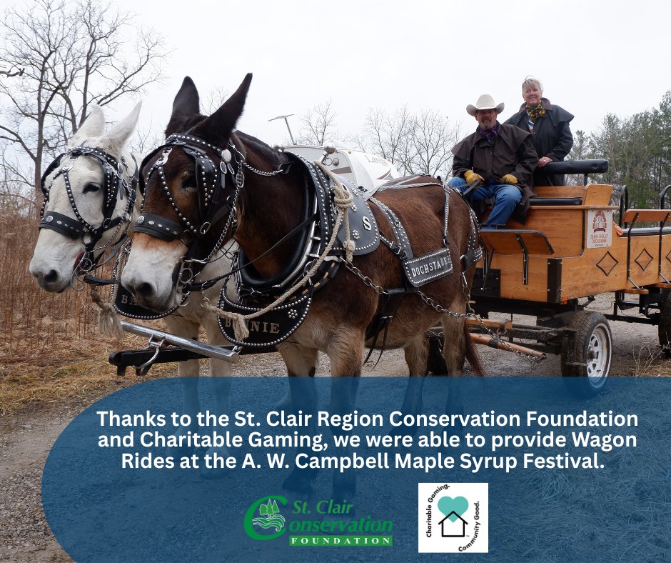 Were you able to attend the 2025 A. W. Campbell Maple Syrup Festival? You probably met Babs and Bunnie then! 🐴
The SCRCA was able to fund our friends at Bear Creek Stables to come to the Festival, thanks to Charitable Gaming through Sarnia's Jackpot Time.