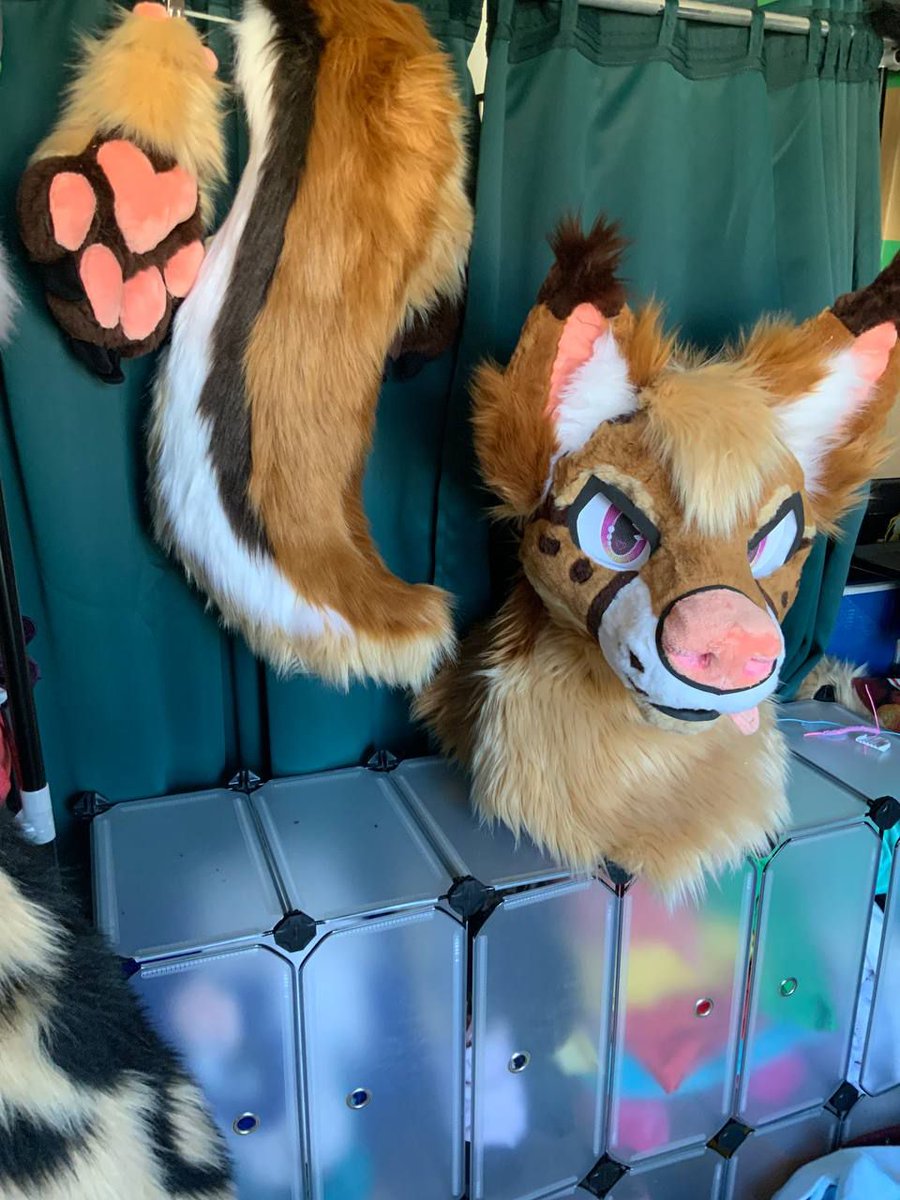 Comissions opend !

3 slots open ^^
Head starts ad 1200€
Just Dm me on telegram @Floof_mochi 
🤍🤍🤍🤍🤍🤍🤍🤍🤍🤍🤍
You can buy parts too like
Paws
Tail
Collars
Bows
...