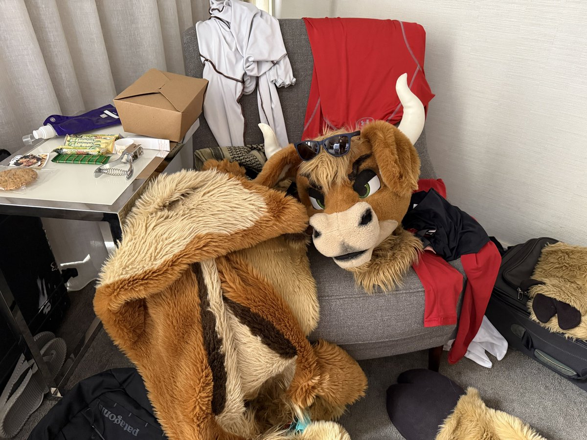 Me trying to remember how I packed this in the first place #FWA2025