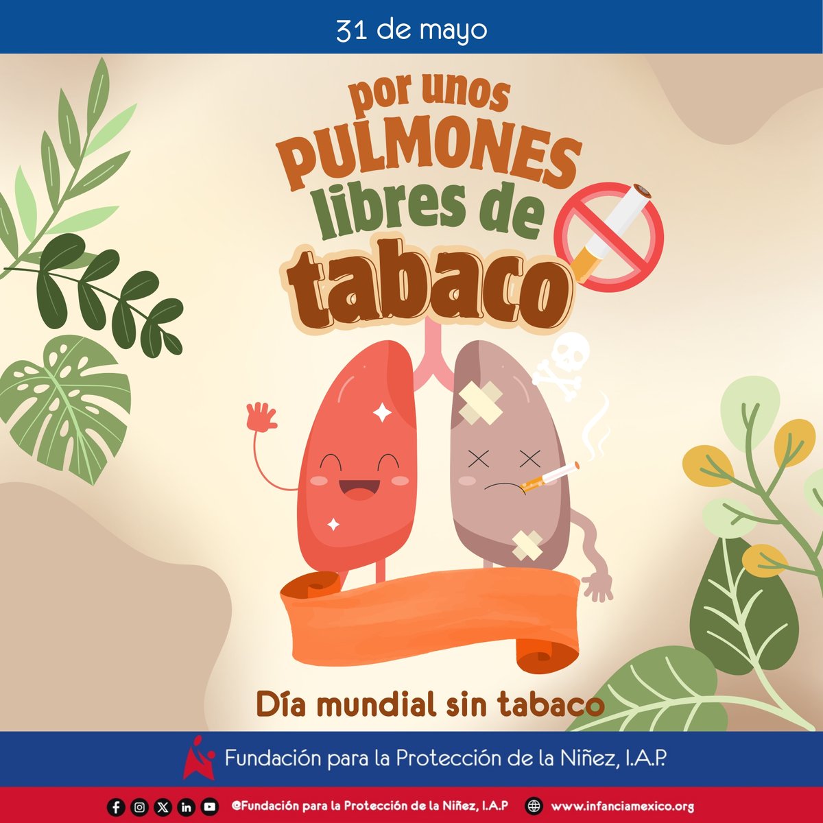 🚭 El humo del tabaco también apaga infancias.

En el #DíaMundialSinTabaco, alzamos la voz por el derecho de #niñas, #niños y #adolescentes a crecer en entornos libres de humo, de adicciones y de riesgos innecesarios.

🛡️ Hablar, educar y acompañar también es cuidar.

#SomosFPN