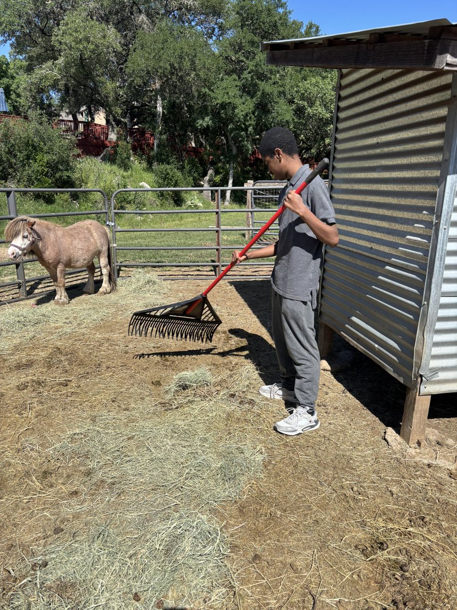 mujicareddix tweet media