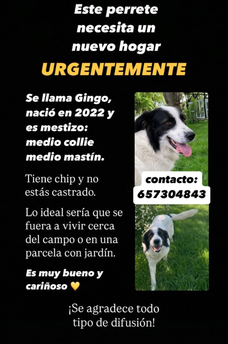 oposilau's tweet image. Difusión por favor 🙏 🥺