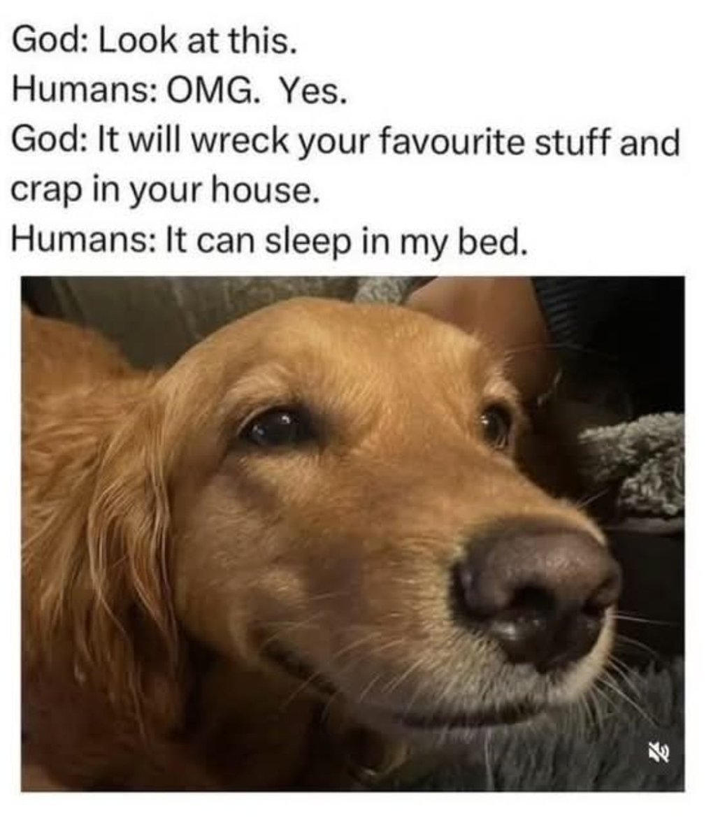 But they are so Cute!