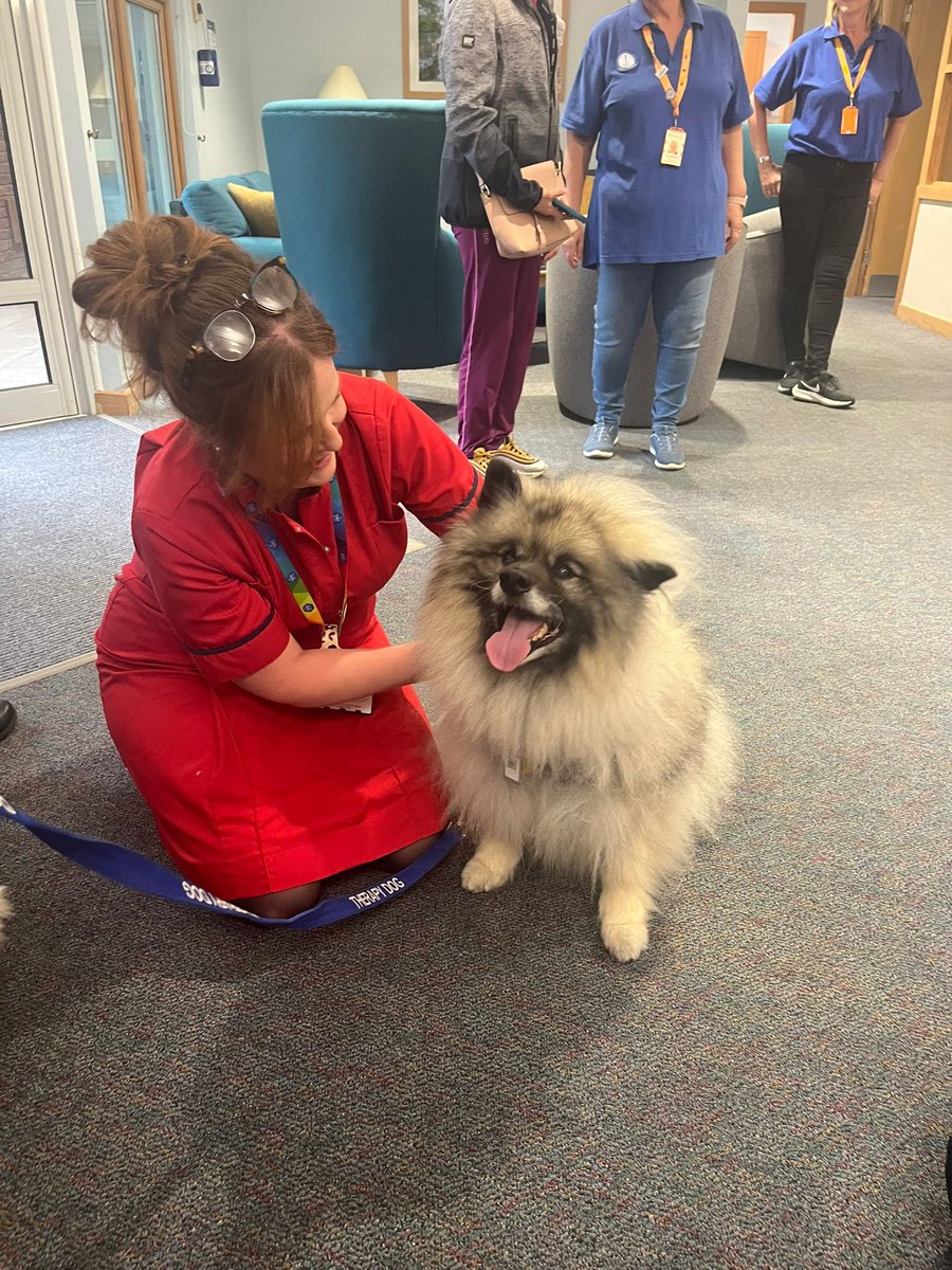 Jennifer Milner (@jennyloumilner) on Twitter photo We had over 500 nurses today come during their break to the <a href="/UHS_SupportHub/">UHS Patient and Family Support Hub</a> for a well deserved cup of tea and cake with a side helping of a doggy cuddle too! Thank you to UHS League of Friends for providing allllll the cake 🍰 🫶🏼 🍰 <a href="/UHSFT/">University Hospital Southampton 💙</a> We had over 500 nurses today come during their break to the <a href="/UHS_SupportHub/">UHS Patient and Family Support Hub</a> for a well deserved cup of tea and cake with a side helping of a doggy cuddle too! Thank you to UHS League of Friends for providing allllll the cake 🍰 🫶🏼 🍰 <a href="/UHSFT/">University Hospital Southampton 💙</a>