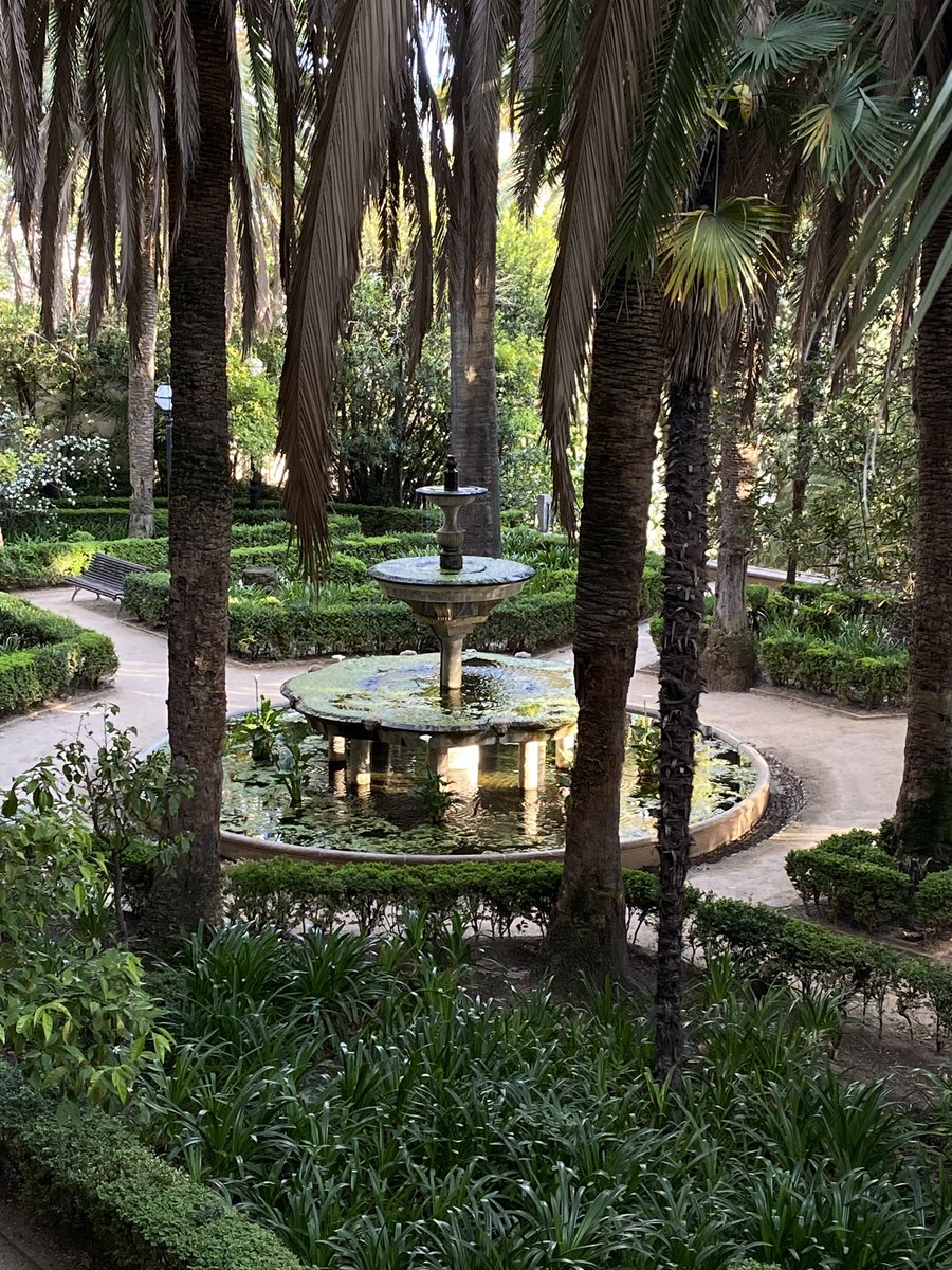 Tena🪲 tweet media