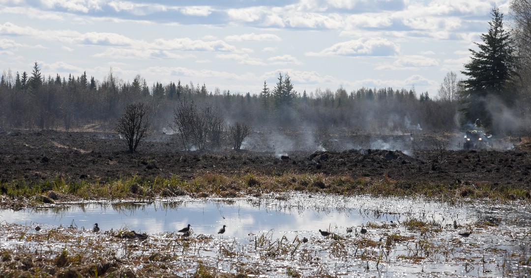 AK_Forestry's tweet photo. Success! Prescribed burn at Creamer's Field complete with help from @AlaskaDFG & AK Forestry. Better nesting & food for migratory birds thanks to this habitat work. #AKForestry #RXFire #ADFG https://t.co/PAswqzZNHk