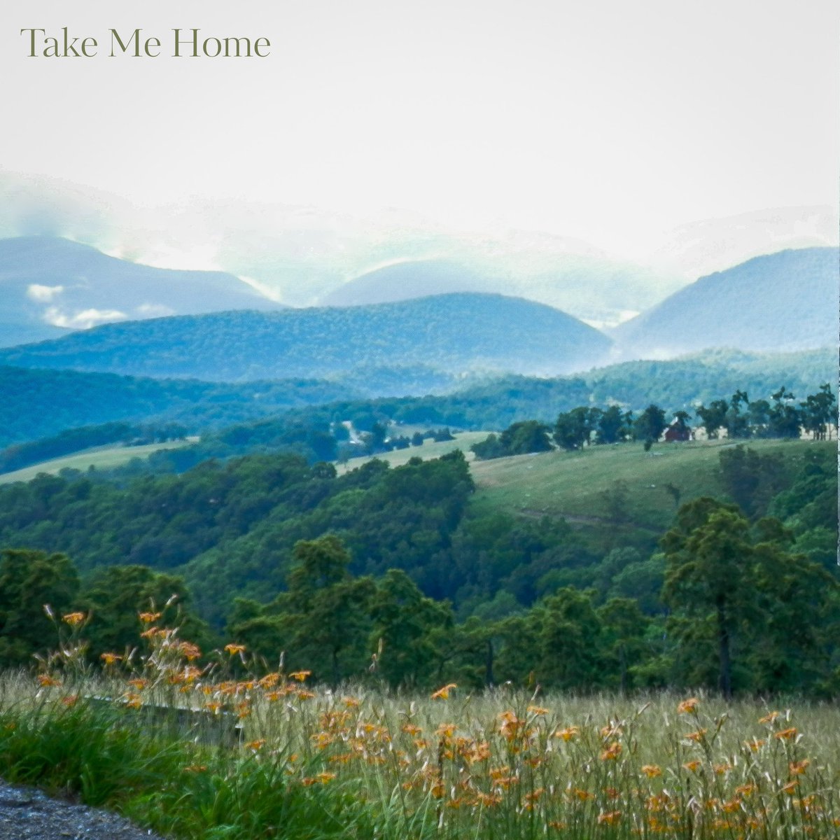 Ian Fitzgerald tweet media