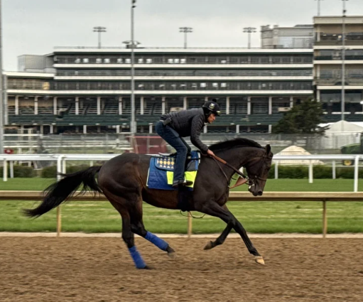 USRacingToday's tweet image. Preakness Stakes Contender: Goal Oriented

#PreaknessStakes #GoalOriented #PimlicoRaceCource

usracing.com/news/preakness…