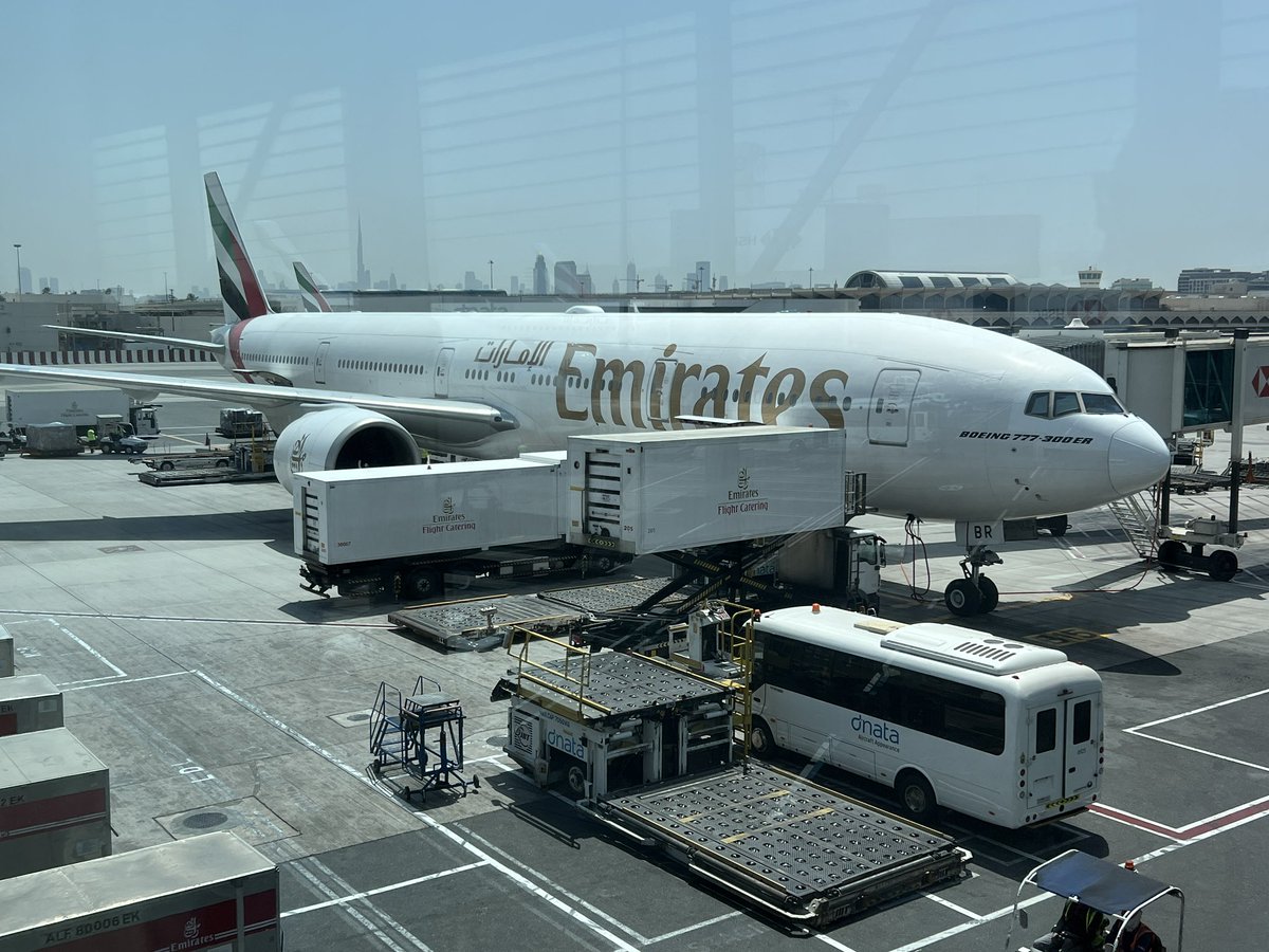 Commander-Fran tweet media