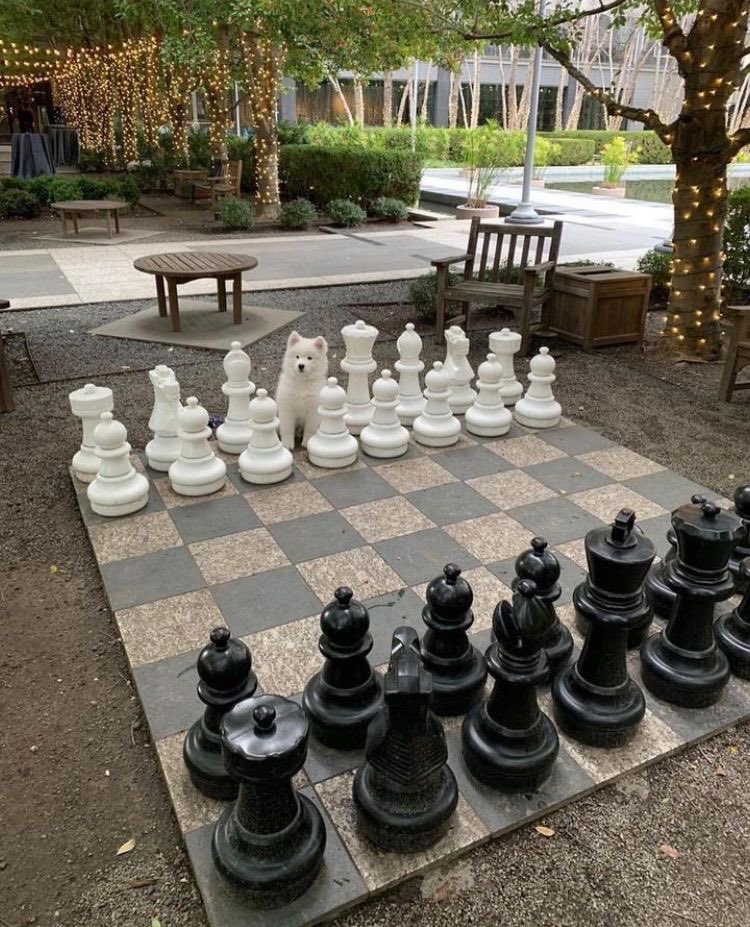 twaniimals's tweet image. 