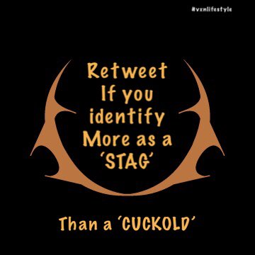 VXN Lifestyle (@vxn_lifestyle) on Twitter photo 