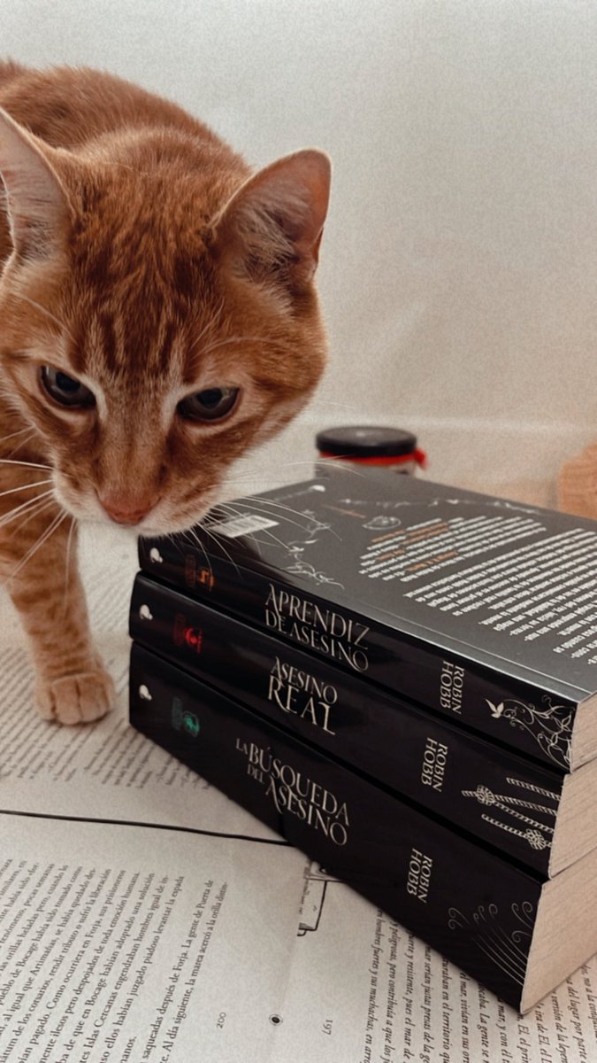 ¡Es hoy! ¡Es hoy! ¡Hoy es el día #Vatídico! ❤️‍🔥 ¡#RobinHobb ya está en librerías!