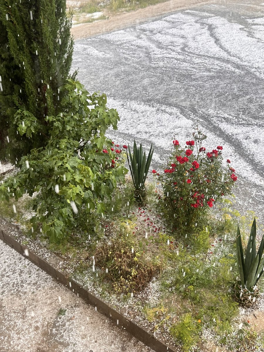 عصريه برديه🥹🥹🥹❄️❄️❄️❄️