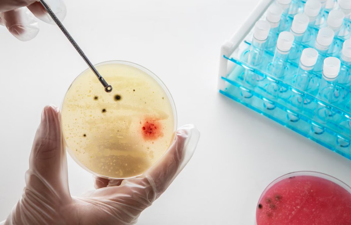 MediTechInsight's tweet image. 🔬 In Vitro Toxicity Testing Market to Surge ~10% CAGR by 2030: Innovation, Ethics &amp;amp; Efficiency Driving Growth

See report here: meditechinsights.com/in-vitro-toxic…

#InVitroTesting #Toxicology #CellCulture #InVitroToxicity #ToxicologyTesting #CellBasedAssays #DrugSafety #LabTesting