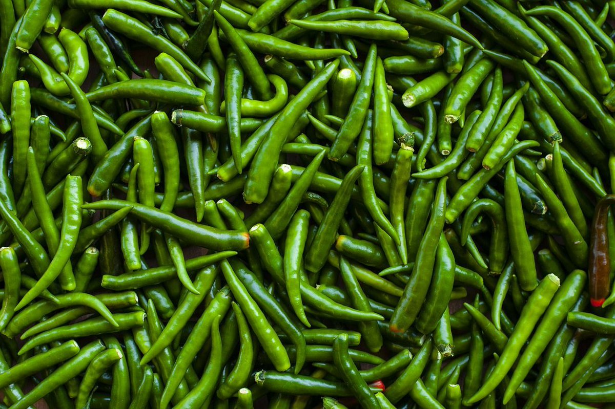 Genome-wide identification &amp; expression analysis of cysteine-rich receptor-like kinase #gene family in #chili #pepper (#Capsicum annuum) in response to #Colletotrichum truncatum infection.
Rediscover this article in JHSB 98:2 at: doi.org/10.1080/146203…

#CRK #chilli