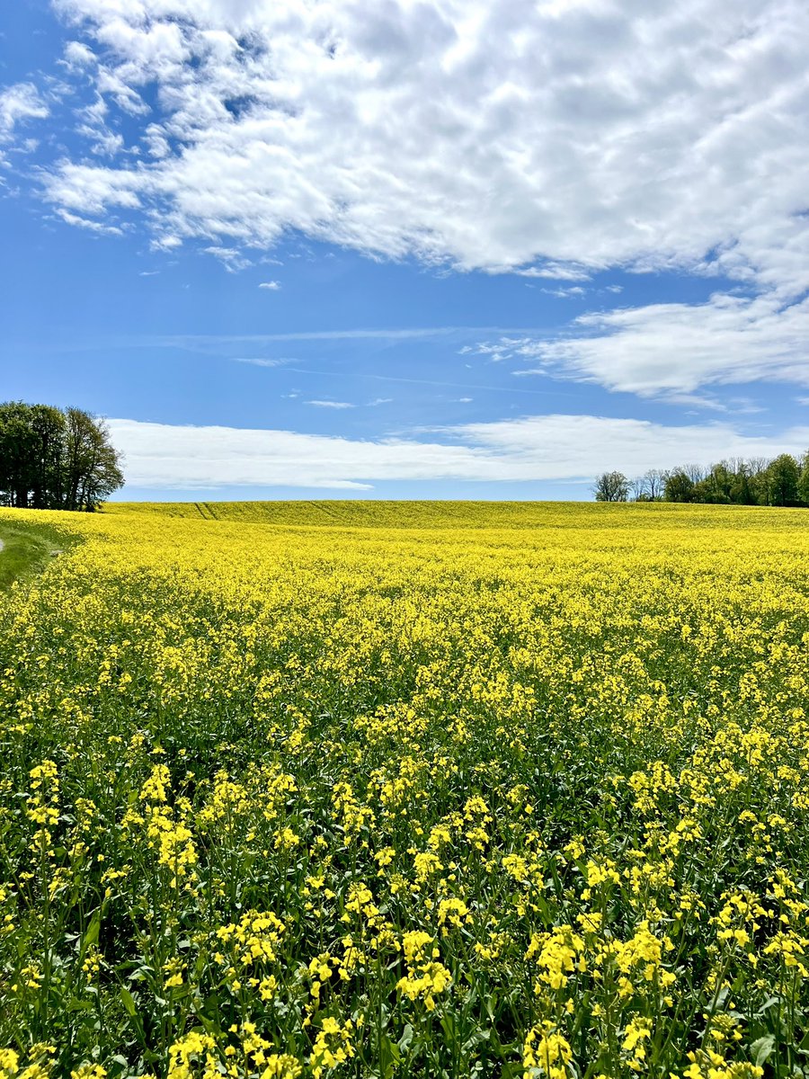 Took a little walk today, nature is absolutely incredible! Also saw that <a href="/xBCrafted/">xBCrafted</a> sold my Hermitcraft base… no hard feelings though! Hermitcraft returns next week, even if I am currently baseless! ❤️🙈