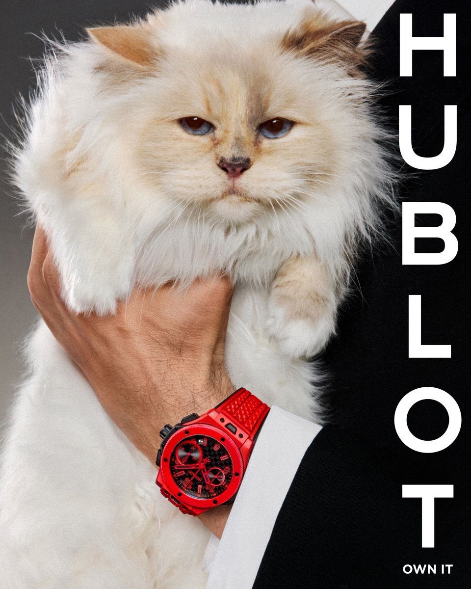 Our spirit animal #Choupette. #Hublot #BigBangAnniversary #HublotOwnIt