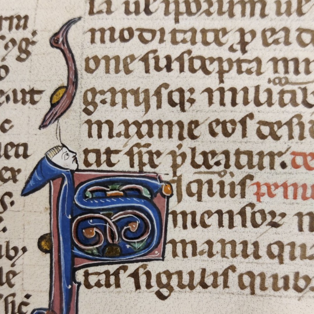 New College Library and Archives, Oxford (@newcollegelib) on Twitter photo ‘Hey Mr Bird, stop standing on my face!’
(<a href="/NewCollegeOx/">New College, Oxford</a>, MS 174, f. 293r)
#ManuscriptMonday #MedievalTwitter #Medieval ‘Hey Mr Bird, stop standing on my face!’
(<a href="/NewCollegeOx/">New College, Oxford</a>, MS 174, f. 293r)
#ManuscriptMonday #MedievalTwitter #Medieval