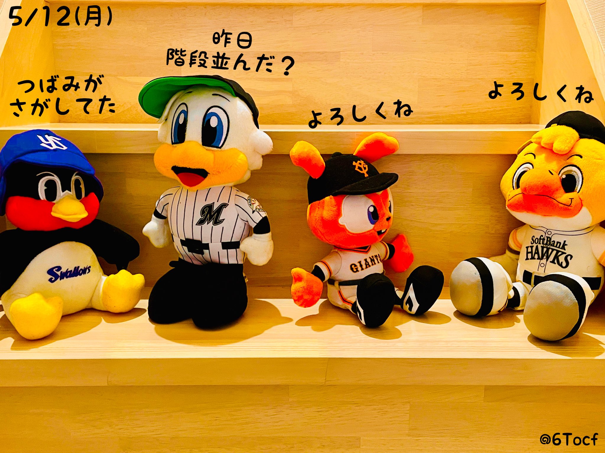 ただの野球好き
