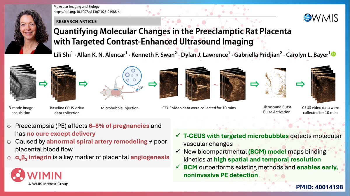 WIMIN_WMIS's tweet image. 📣 New from Dr. Carolyn Bayer @Tulane: A bicompartmental model + targeted CEUS detects placental vascular changes in a RUPP model of preeclampsia. Improved resolution, noninvasive, and quantitative! 🌿🤰🧬
Now in Molecular Imaging &amp;amp; Biology! ow.ly/yT3150VyFsb