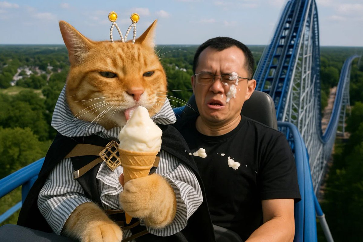 Crypto is like roller coaster

The roller coaster: