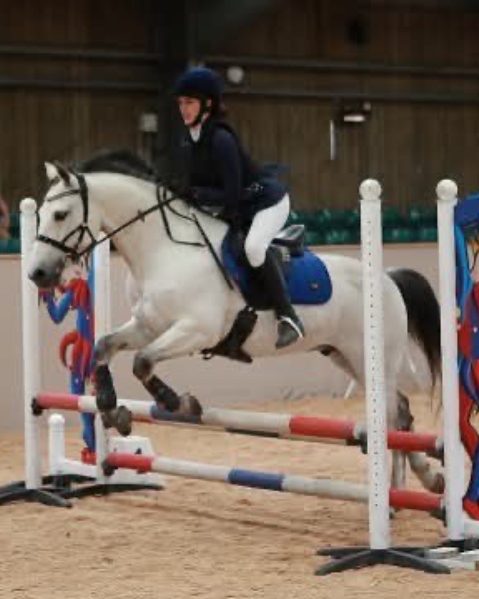 Congratulations to Year 7 pupil Penelope for her performance at the NSEA Grassroots Showjumping competition on Saturday! She rode a brilliant clear round, finishing in 6th place!👏

This means Penelope has qualified for the Grassroots Showjumping Finals at Hickstead in August!