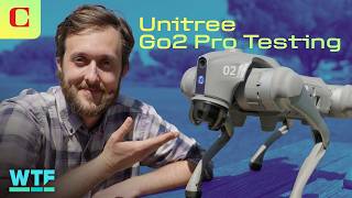 Unitree dog‑park trial