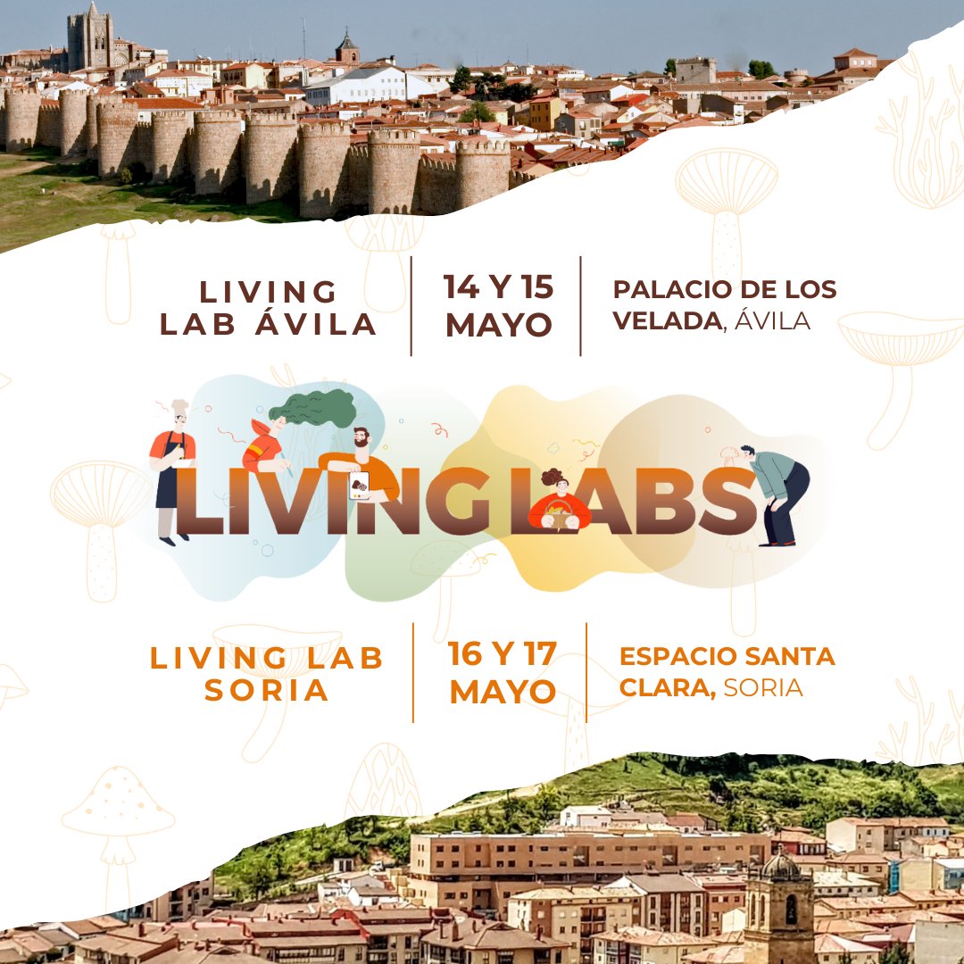 ¡Comienza una semana llena de micoturismo!🍄

📍Living Lab Ávila (14-15 mayo, Palacio de los Velada): debates con expertos, cocina micológica, excursiones y más.

📍Living Lab Soria (16-17 mayo, Espacio Santa Clara): ciencia, sostenibilidad y formación.

¡Te esperamos!🙌