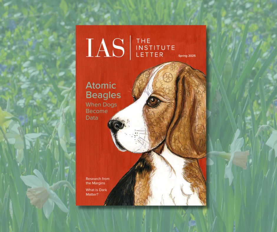 the_IAS's tweet image. 📖 The Spring 2025 edition of The Institute Letter is online now! Featuring the unsung contributions of beagles to science, the latest on dark matter, and more—plus original cover art by @MarcellaWylie! Follow the links below to access the digital edition: