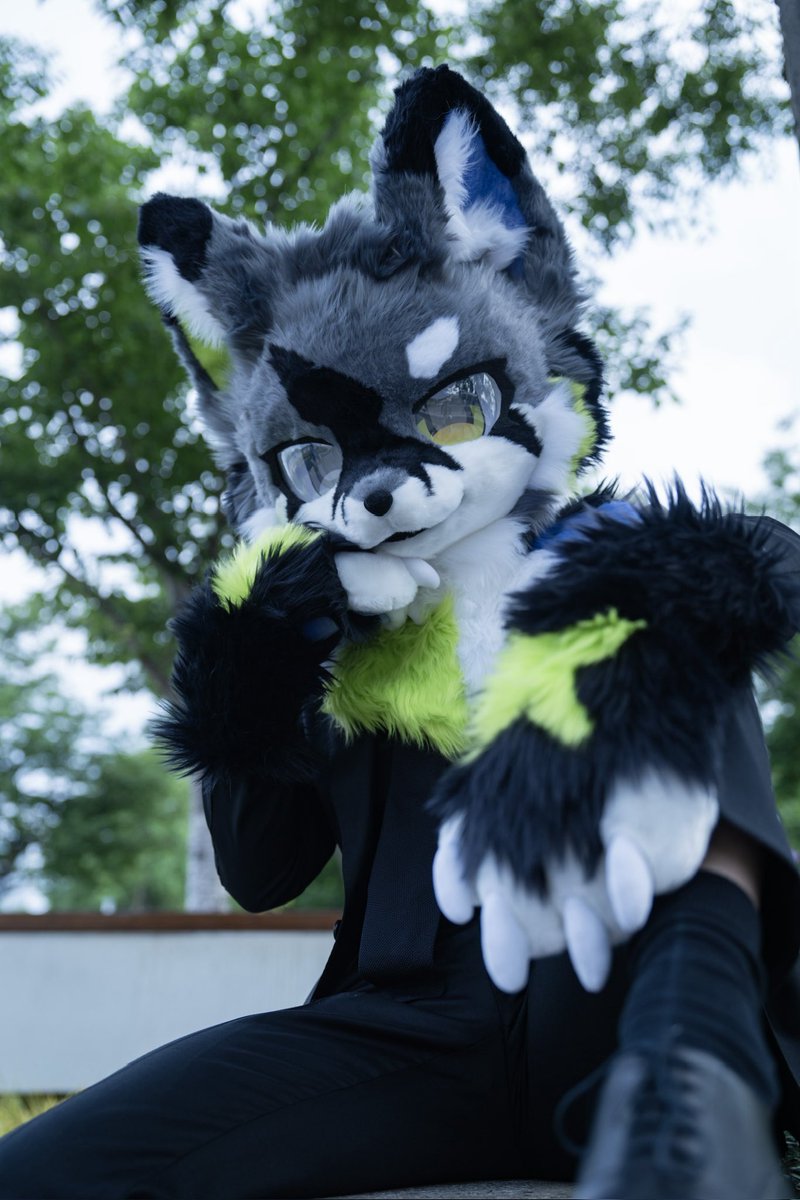 初次见面，请多指教