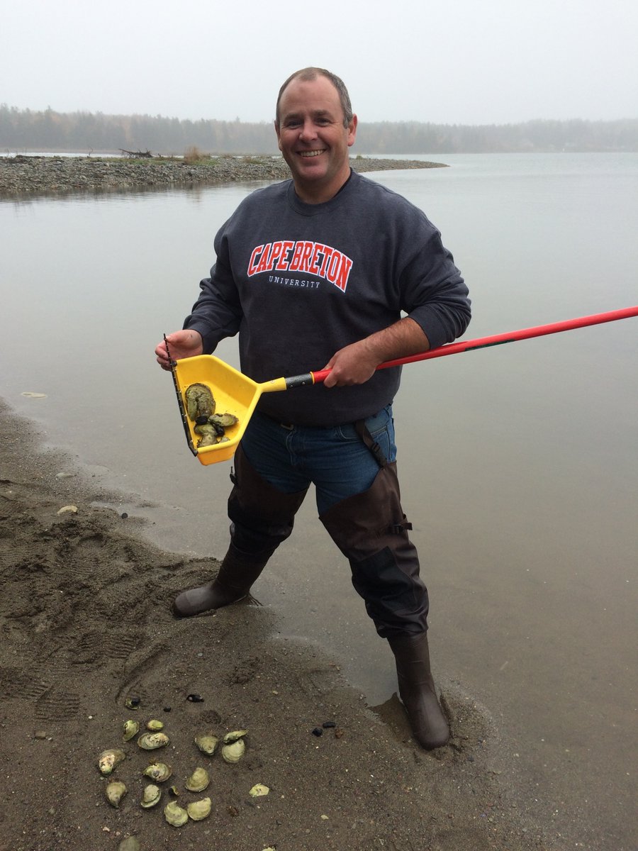 Genome Atlantic (@genomeatlantic) on Twitter photo #MSX disease is threatening oyster farms in the Maritimes - and #Genomics is stepping up to protect this vital industry. Read more bit.ly/436QvVb <a href="/GenomeAtlantic/">Genome Atlantic</a> #MalletOysters #CapeBretonUniversity @Rodberesford70 <a href="/GenomeCanada/">Genome Canada</a> #OysterGenomics #MSX disease is threatening oyster farms in the Maritimes - and #Genomics is stepping up to protect this vital industry. Read more bit.ly/436QvVb <a href="/GenomeAtlantic/">Genome Atlantic</a> #MalletOysters #CapeBretonUniversity @Rodberesford70 <a href="/GenomeCanada/">Genome Canada</a> #OysterGenomics