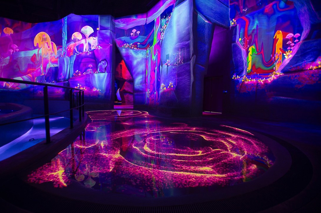 .<a href="/Modulo_Pi/">Modulo Pi</a> celebrates Thea Award honour for Aquascope. tinyurl.com/29baecdp