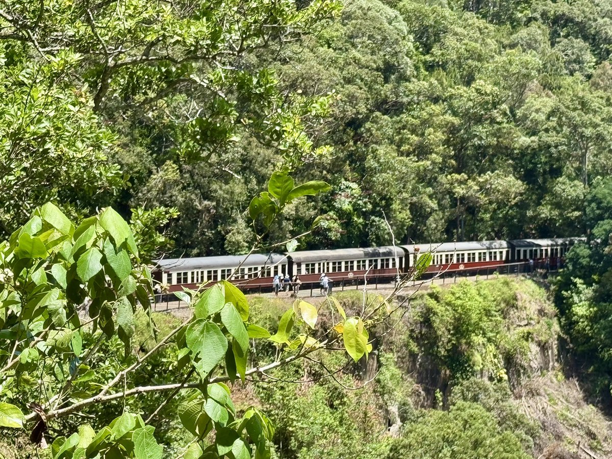 SuzanneLennox's tweet photo. @jjmmli @ORIONBLUE5 Kuranda Scenic Railway https://t.co/pjnLM5RNth