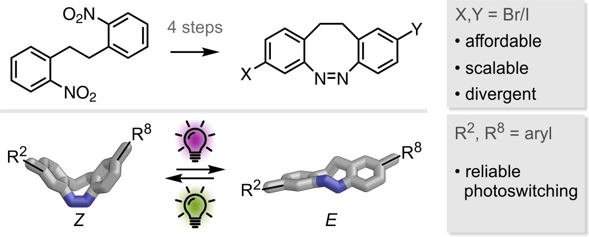Larissa von Krbek (@vkrbek) on Twitter photo 🙌#ProudPI to see Max’s and Vigan’s work online now in <a href="/synlett_journal/">SYNLETT Journal</a>: 👀
thieme-connect.de/products/ejour…
We report the synthesis of 2,8-halogenated diazocines demonstrating good reactivity in Suzuki cross-coupling reactions.
#KrbekGroup
#ChemTwitter
#molswitches
#photoswitches 🙌#ProudPI to see Max’s and Vigan’s work online now in <a href="/synlett_journal/">SYNLETT Journal</a>: 👀
thieme-connect.de/products/ejour…
We report the synthesis of 2,8-halogenated diazocines demonstrating good reactivity in Suzuki cross-coupling reactions.
#KrbekGroup
#ChemTwitter
#molswitches
#photoswitches