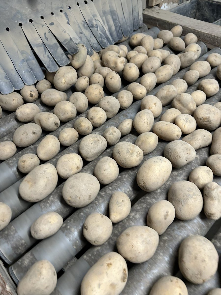 Leo Sturm tweet media