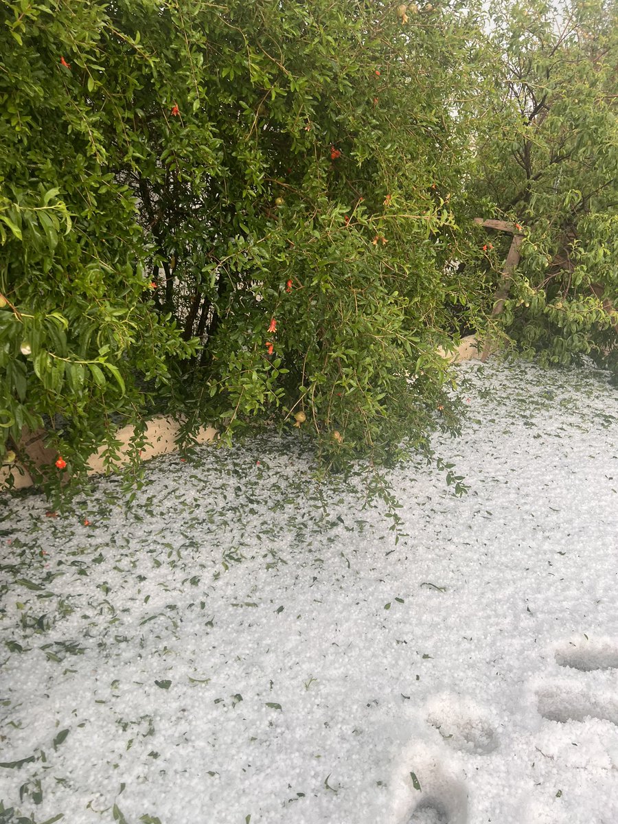 رجل البرّد ☃️