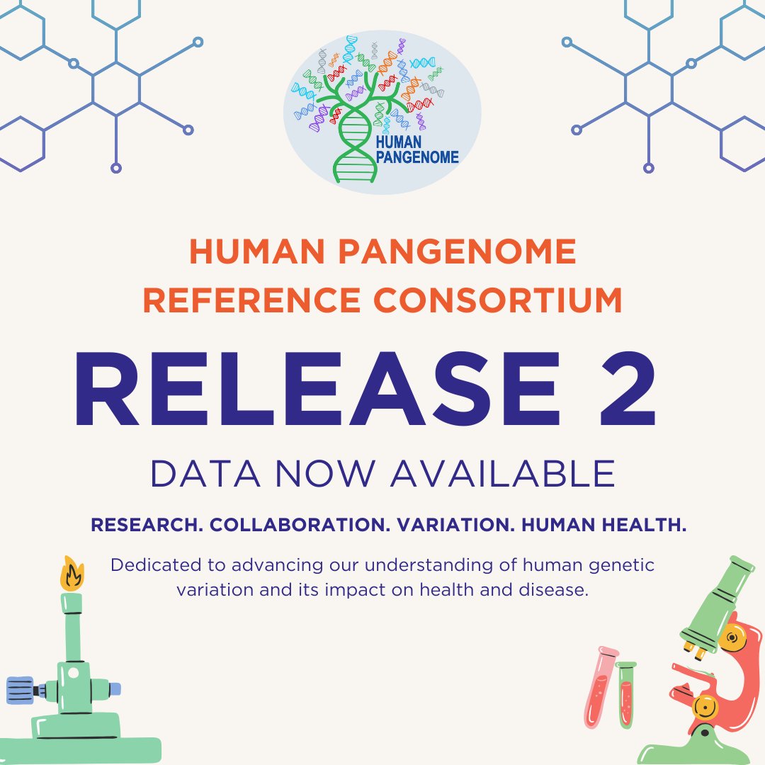 📢 HPRC Release 2 is here! 

Now with phased genomes from 200+ individuals, a 5x increase from Release 1. 

Explore sequencing data, assemblies, annotations &amp; alignments in our interactive data explorer ⬇️:

humanpangenome.org/hprc-data-rele…
